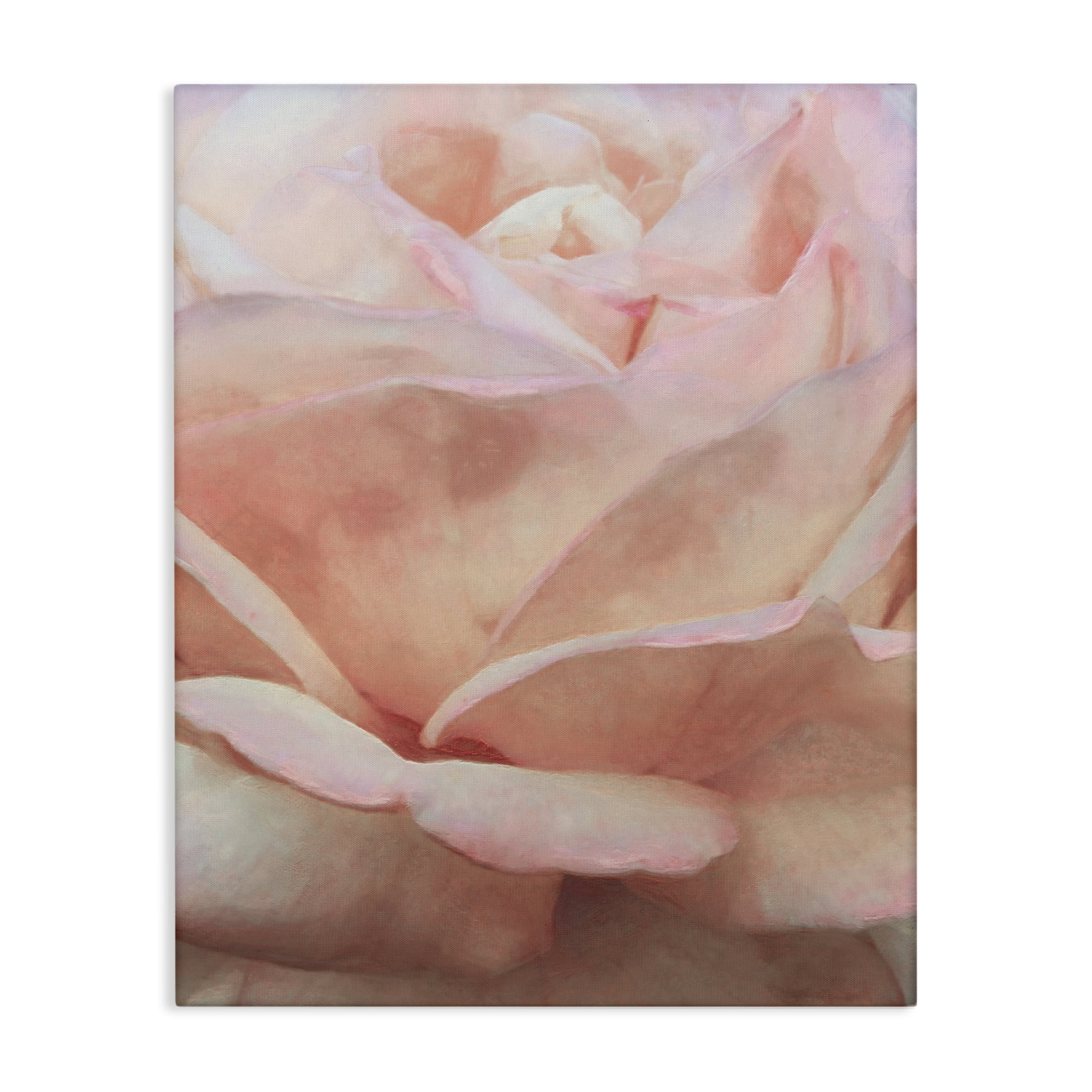 Stupell Industries Soft Rose Petals Botanical & Floral Painting Gallery Wrapped Canvas Art Print Wall Art, 24 x 30
