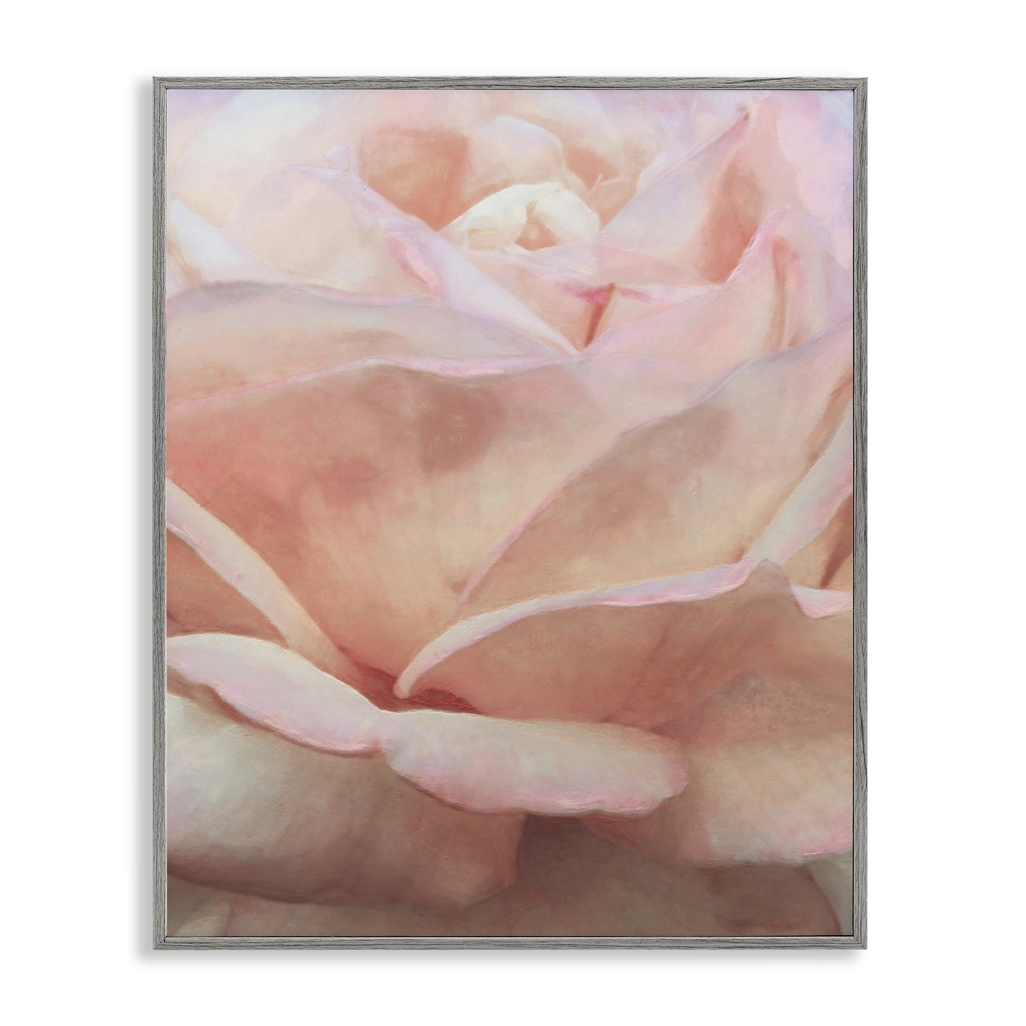 Stupell Industries Soft Rose Petals Botanical & Floral Painting Gray Framed Art Print Wall Art, 11 x 14