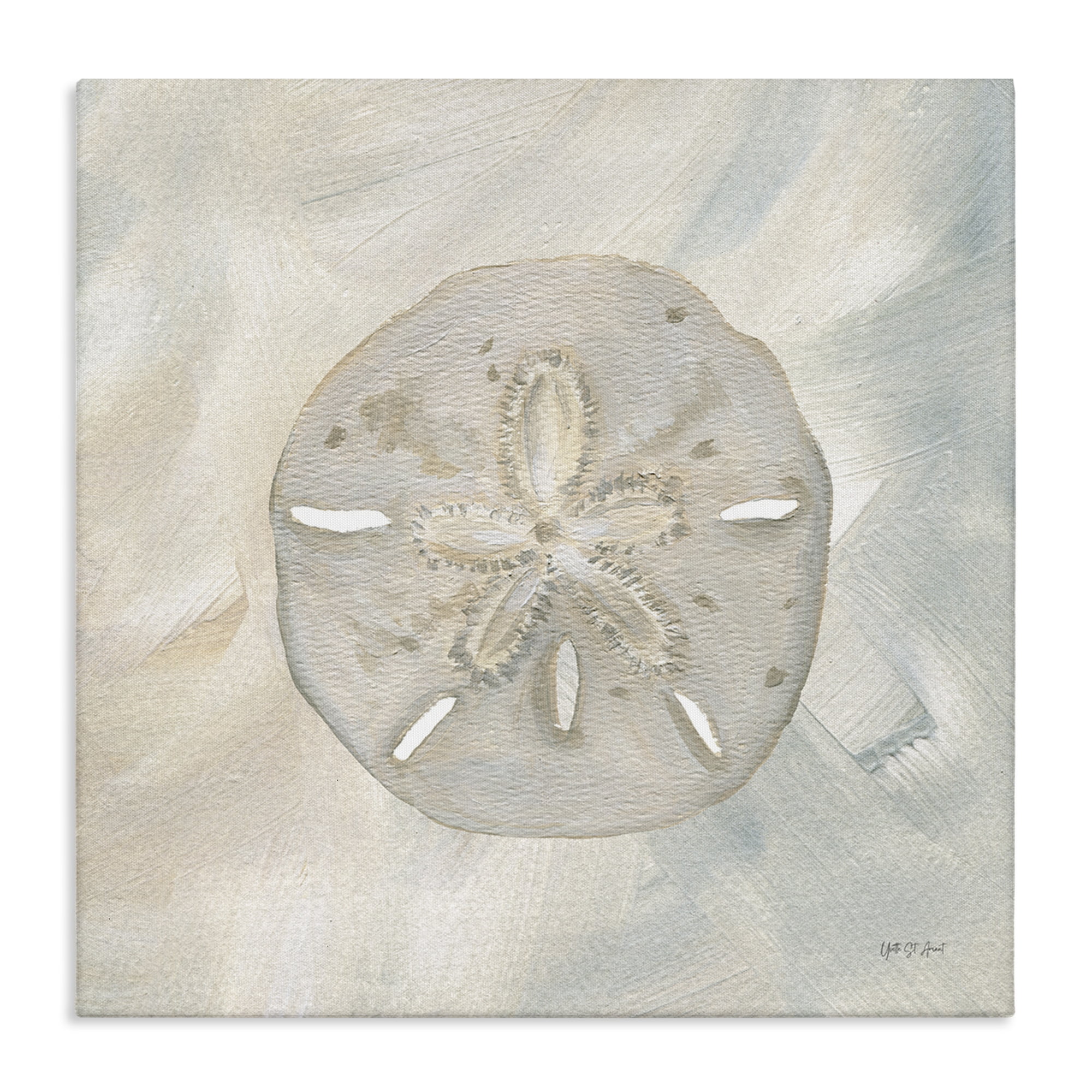 Stupell Industries Soft Sand Dollar Coastal Painting Gallery Wrapped Canvas Art Print Wall Art, 30 x 30