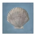 thumbnail image 1 of Stupell Industries Coastal Soft Sea Clam Shell Canvas Art, 24 x 24, by Julia Purinton, 1 of 7