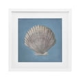 thumbnail image 1 of Stupell Industries Soft Sea Clam Shell White Framed Print Under Glass design by Julia Purinton, 13 x 13, 1 of 10
