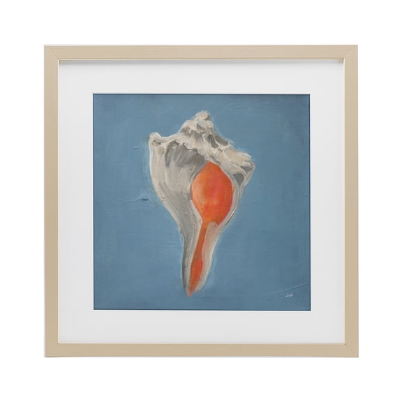 Stupell Industries Soft Sea Conch Shell Birch Framed Print Under Glass design by Julia Purinton, 13 x 13