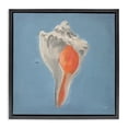 thumbnail image 1 of Stupell Industries Traditional Soft Sea Conch Shell Black Floating Frame Canvas Art, 18 x 18, by Julia Purinton, 1 of 7