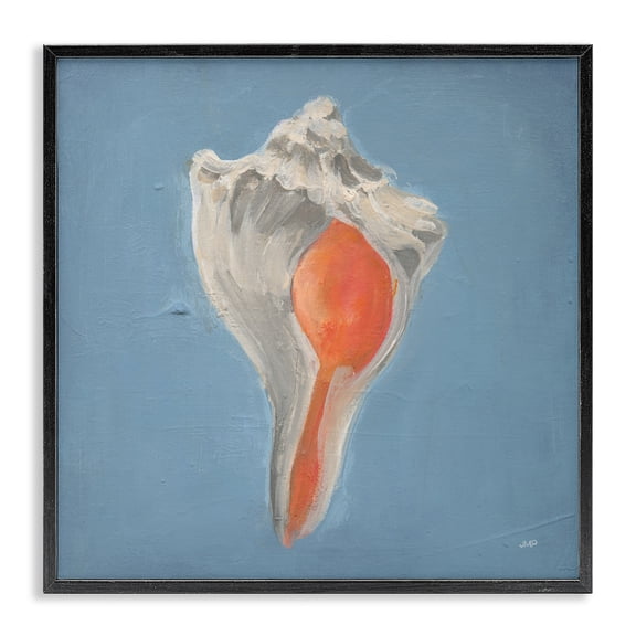 Stupell Industries Soft Sea Conch Shell Black Framed Giclee Art design by Julia Purinton, 17 x 17