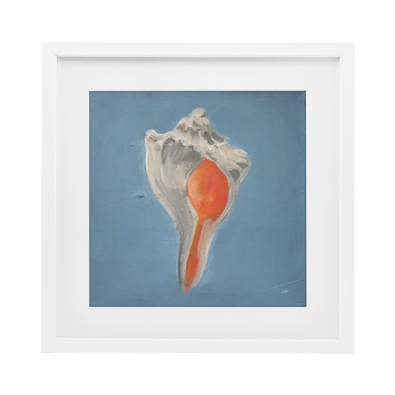 Stupell Industries Soft Sea Conch Shell White Framed Print Under Glass design by Julia Purinton, 16 x 16