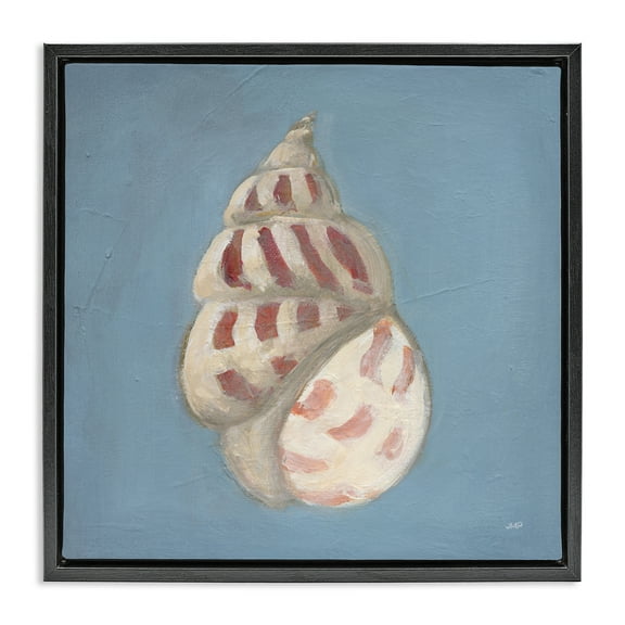 Stupell Industries Soft Sea Cowrie Shell Black Framed Floater Canvas Wall Art design by Julia Purinton, 18 x 18