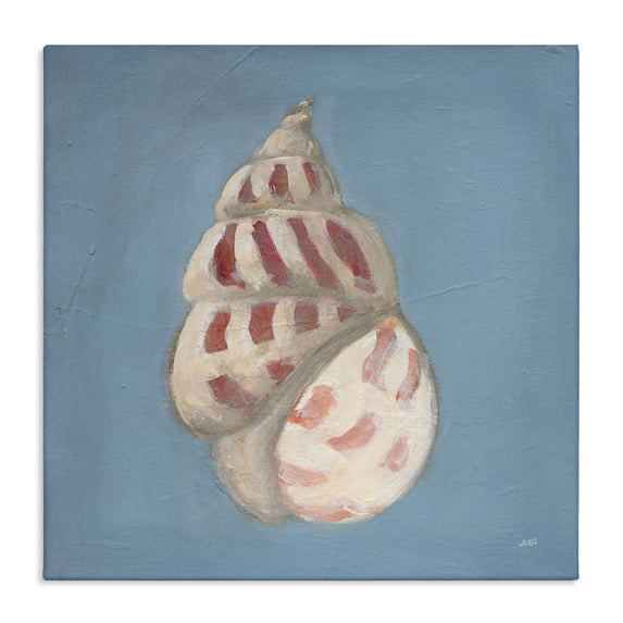 Stupell Industries Traditional Soft Sea Cowrie Shell Canvas Art, 17 x 17, by Julia Purinton