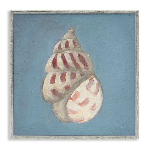 Stupell Industries Soft Sea Cowrie Shell Gray Framed Giclee Art design by Julia Purinton, 24 x 24