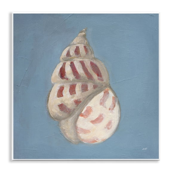 Stupell Industries Soft Sea Cowrie Shell Wall Plaque Art design by Julia Purinton, 12 x 12