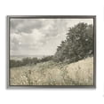 thumbnail image 1 of Stupell Industries Farmhouse Soft & Subtle Meadow Landscape Gray Floating Frame Canvas Art, 21 x 17, by Riley B, 1 of 8