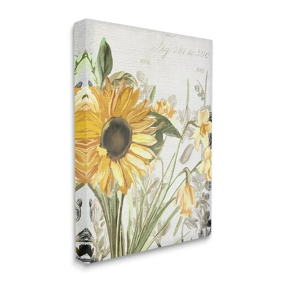 Stupell Industries Soft Sunflower Floral over Vintage Plant Illustration Canvas Wall Art by Kim Allen