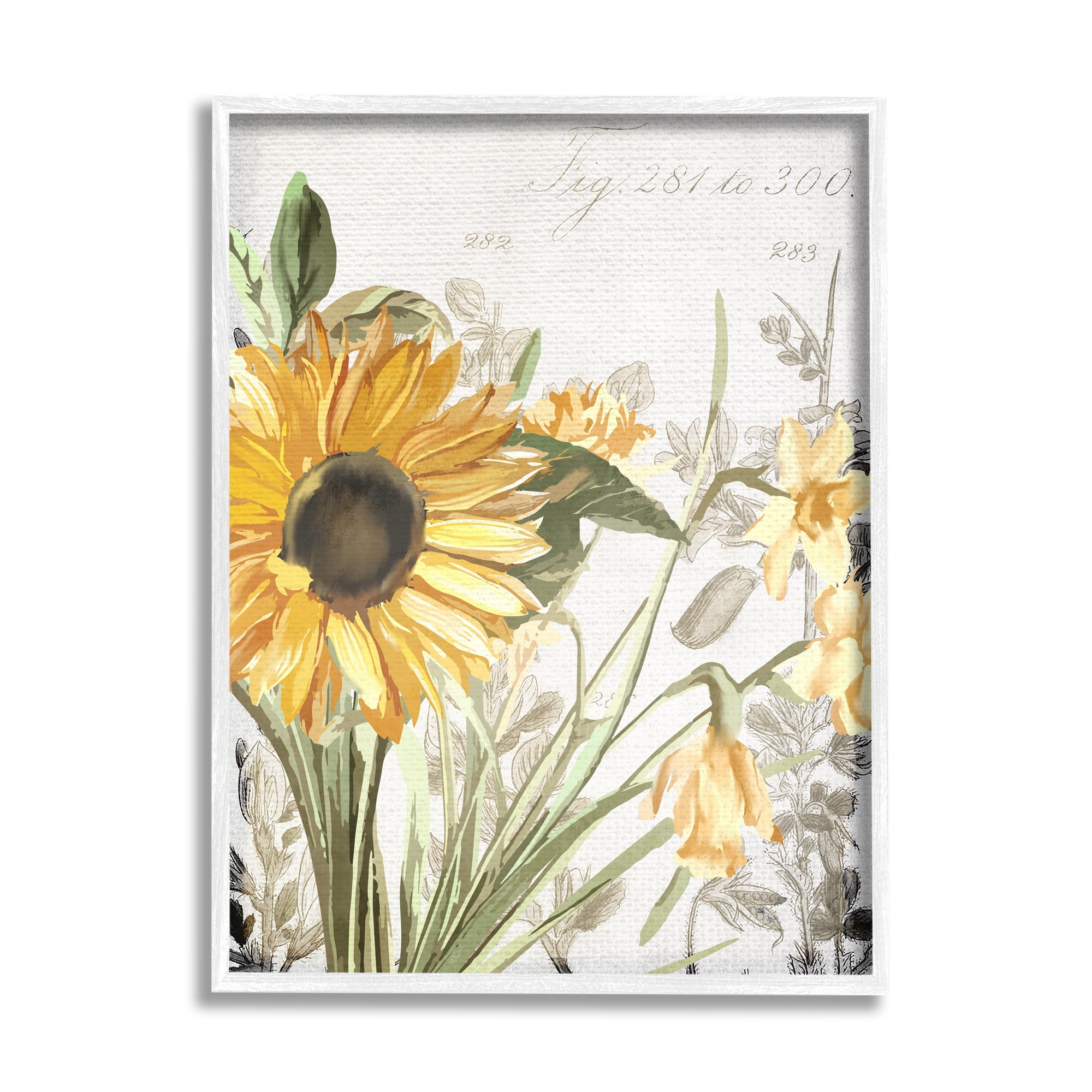 Stupell Industries Soft Sunflower Floral over Vintage Plant Illustration Graphic Art Framed Art Print Wall Art, 24x30, By Kim Allen
