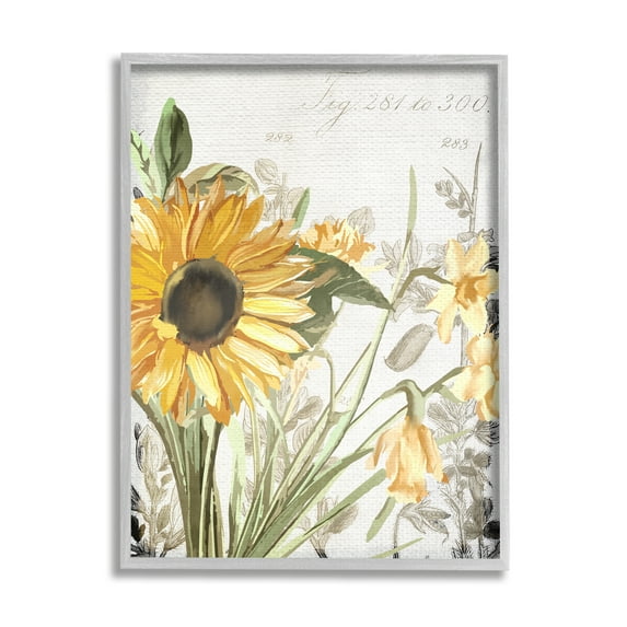 Stupell Industries Soft Sunflower Floral over Vintage Plant Illustration Graphic Art Framed Art Print Wall Art, 24x30, By Kim Allen