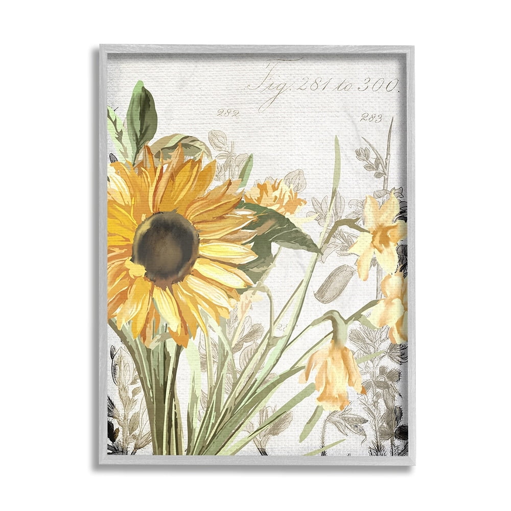 Stupell Industries Soft Sunflower Floral over Vintage Plant Illustration Gray Framed by Kim Allen