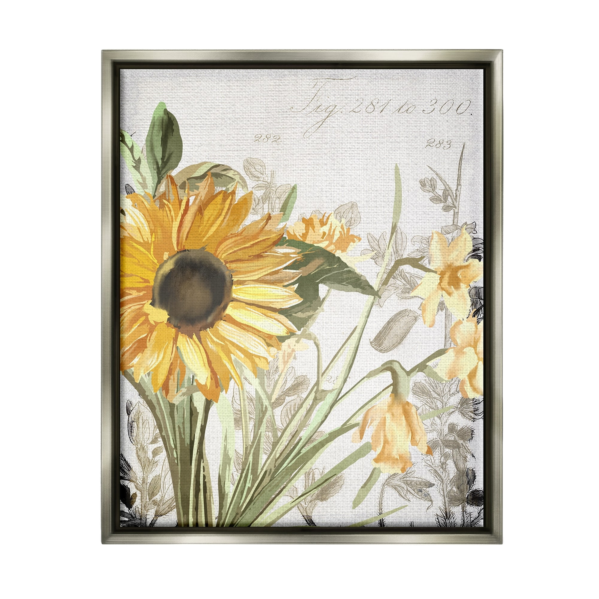 Stupell Industries Soft Sunflower Floral over Vintage Plant Illustration Luster Gray Framed Floating Canvas Wall Art, 16x20, by Kim Allen