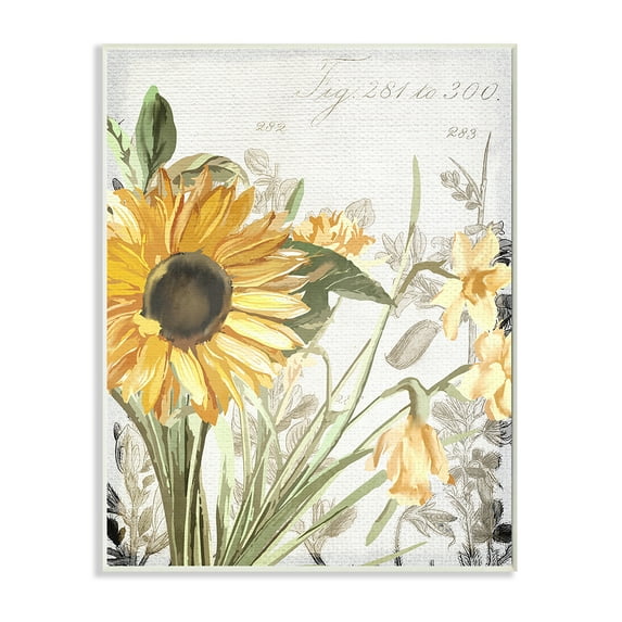Stupell Industries Soft Sunflower Floral over Vintage Plant Illustration Wall Plaque by Kim Allen
