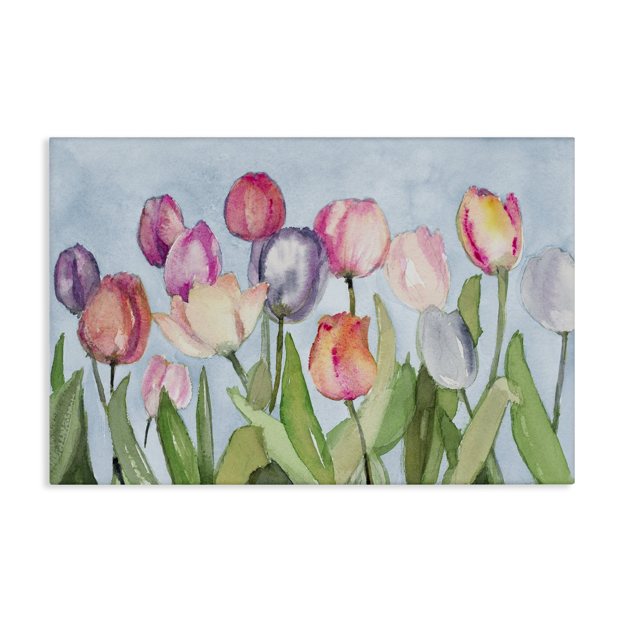 Stupell Industries Soft Tulip Field Plants & Flowers Painting Wrapped Canvas Art Print Wall Art, 30 x 20