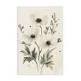 thumbnail image 1 of Stupell Industries Traditional Soft White Anemone Floral Canvas Art, 16 x 24, by Petals Prints Design, 1 of 8