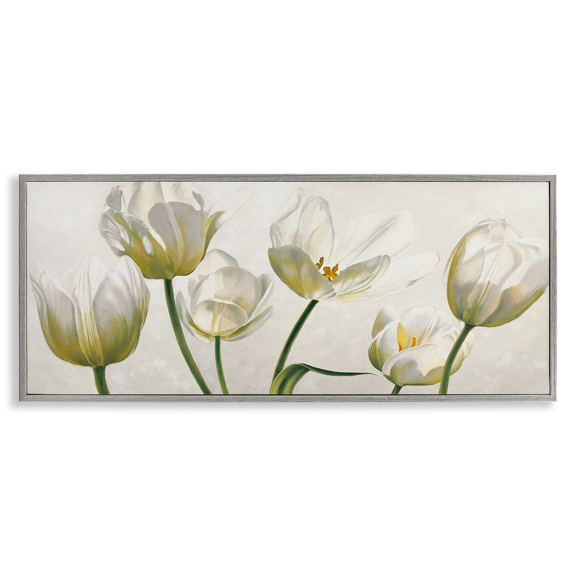 Stupell Industries Soft White Blooming Tulip Petals Floral Details, 13 x 30,Design by Eva Barberini