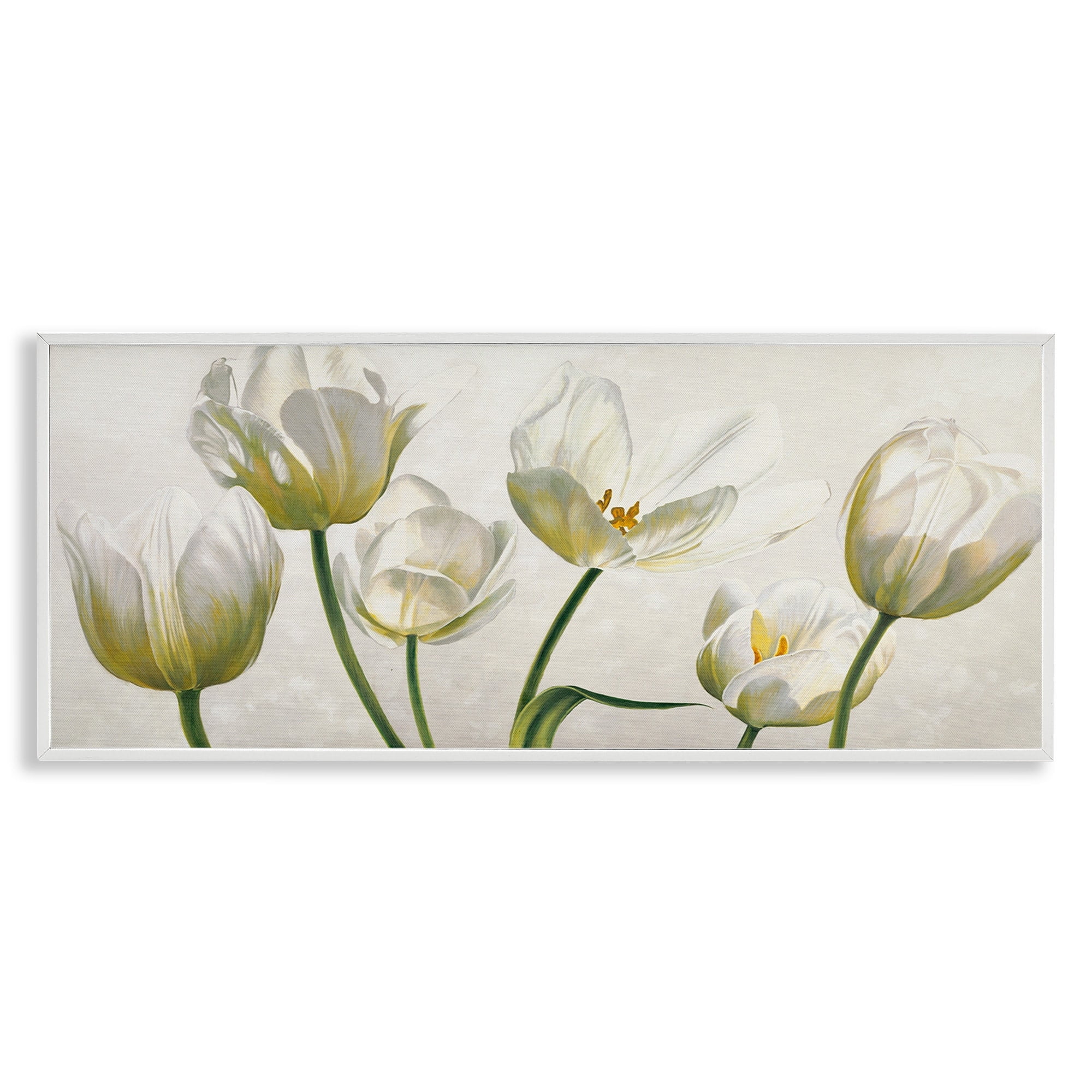 White Blooming Tulip Petals Canvas Print with White Frame
