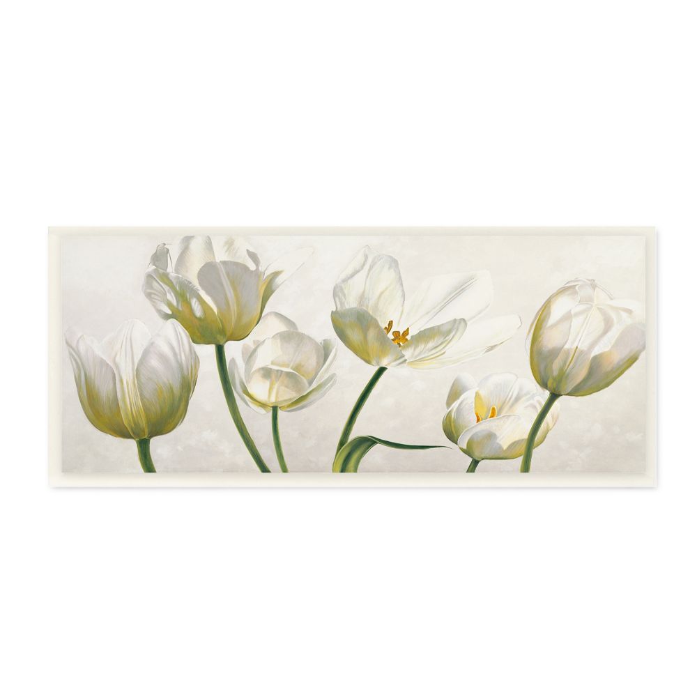 Stupell Industries Soft White Blooming Tulip Petals Floral Details Designed by Eva Barberini