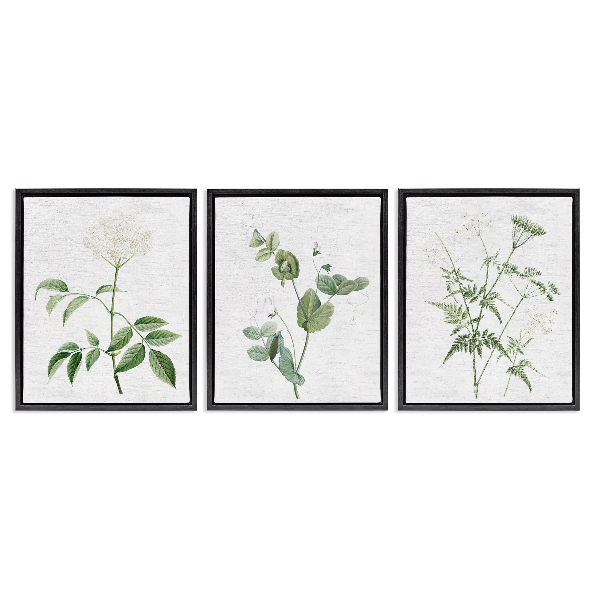 Stupell Industries Soft White Botanicals Plants & Flowers Painting Black Floater Framed Canvas Art Print Wall Art, 17 x 21, Set of 3