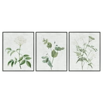 Stupell Industries Soft White Botanicals Plants & Flowers Painting Black Framed Art Print Wall Art, 11 x 14, Set of 3