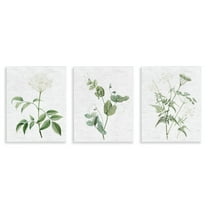 Stupell Industries Soft White Botanicals Plants & Flowers Painting Unframed Art Print Wall Art, 11 x 14, Set of 3