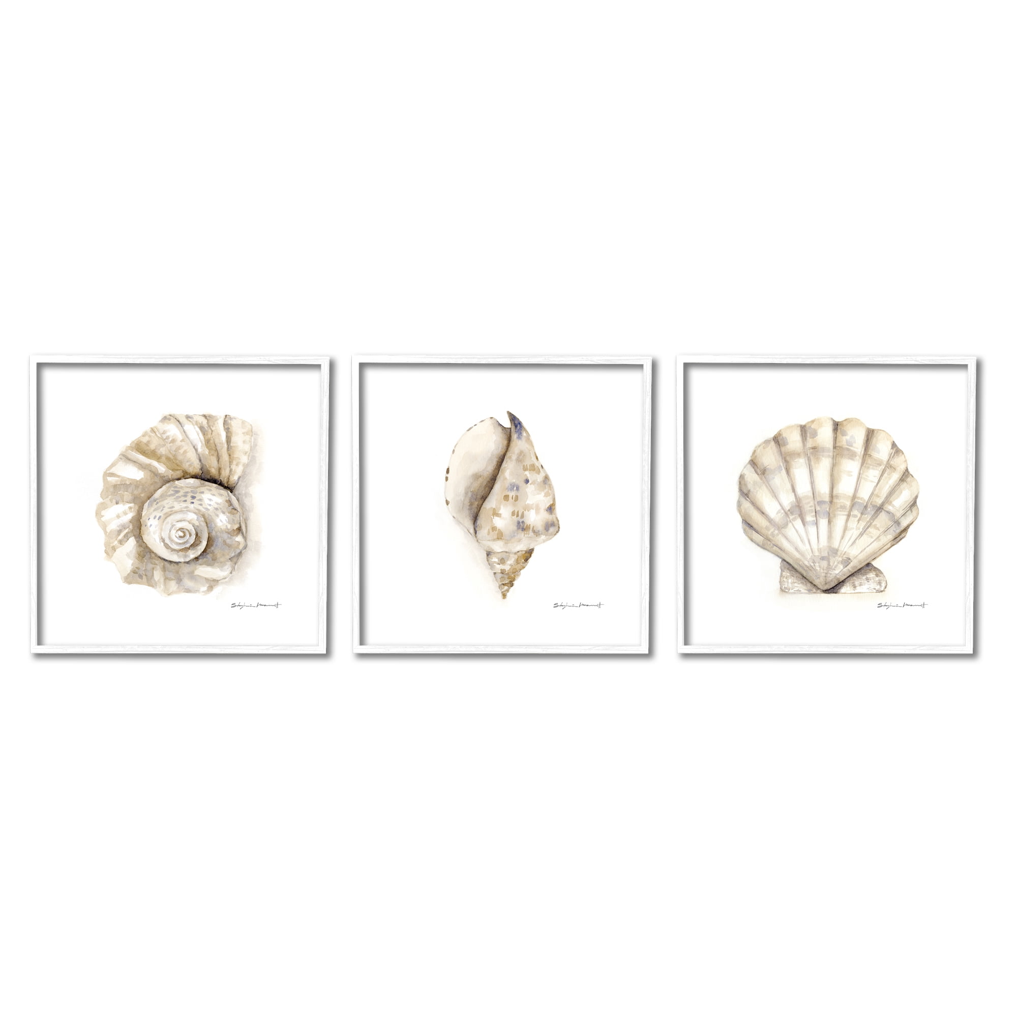 Stupell Industries Soft White Patterned Seashells Nautical Natural Neutrals, 12 x 12,Design by Stephanie Workman Marrott