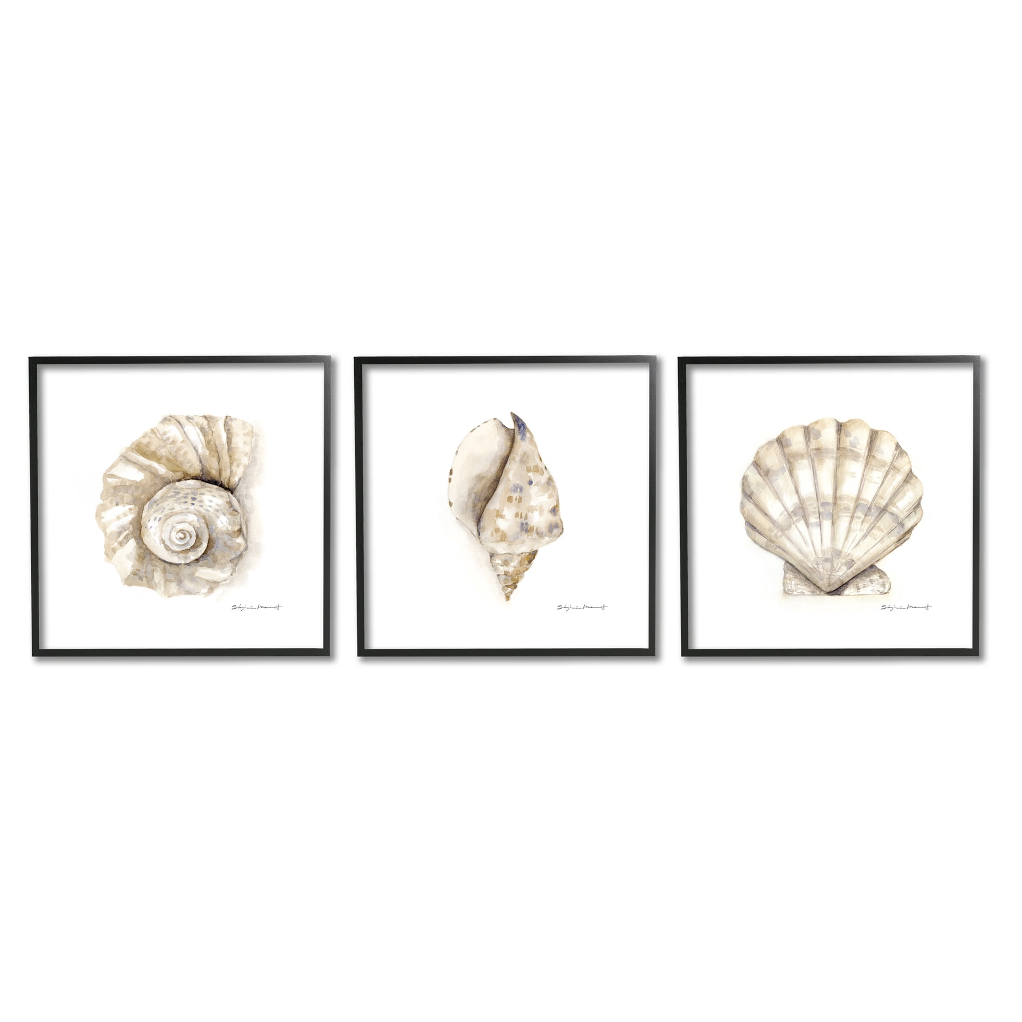 Stupell Industries Soft White Patterned Seashells Nautical Natural Neutrals, 17 x 1.5 x17,Design by Stephanie Workman Marrott