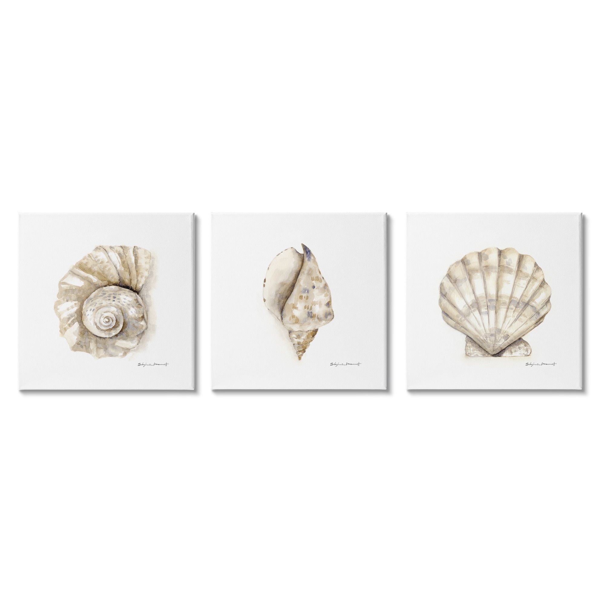 Stupell Industries Soft White Patterned Seashells Nautical Natural Neutrals, 17 x 17,Design by Stephanie Workman Marrott