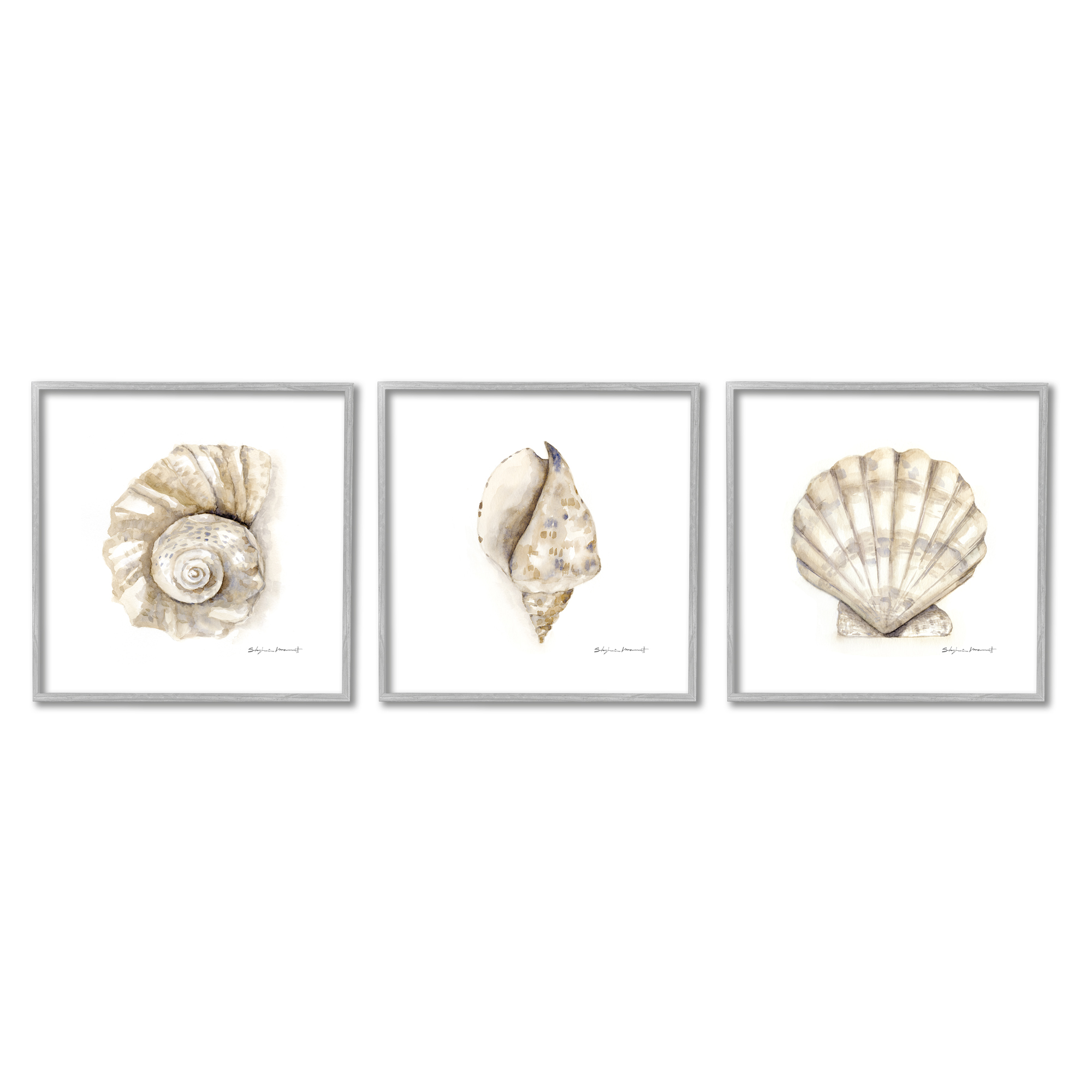 Stupell Industries Soft White Patterned Seashells Nautical Natural Neutrals, 17 x 17,Design by Stephanie Workman Marrott