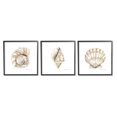 thumbnail image 1 of Stupell Industries Soft White Patterned Seashells Nautical Natural Neutrals Graphic Art Black Framed Art Print Wall Art Set of 3, 12x12, by Stephanie Workman Marrott, 1 of 7