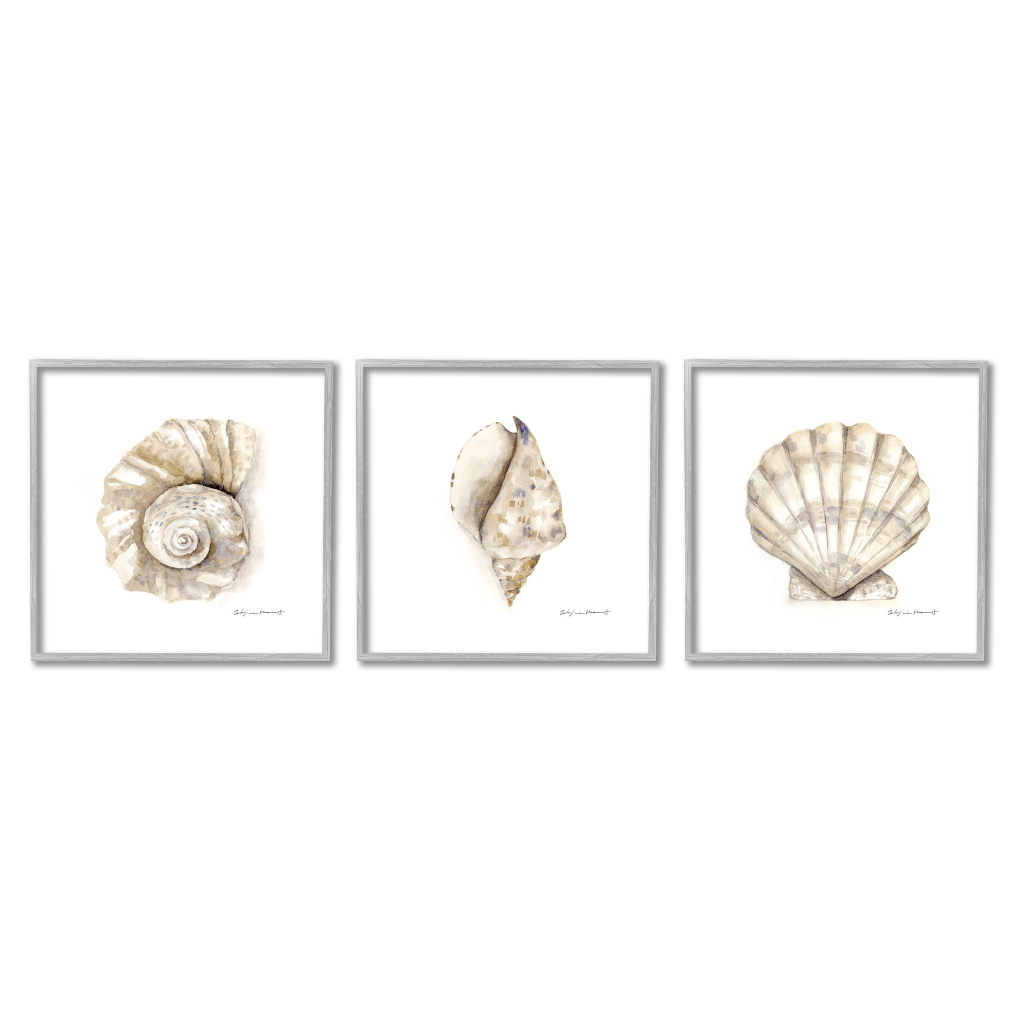 Stupell Industries Soft White Patterned Seashells Nautical Natural Neutrals Graphic Art Gray Framed Art Print Wall Art Set of 3, 12x12, by Stephanie Workman Marrott