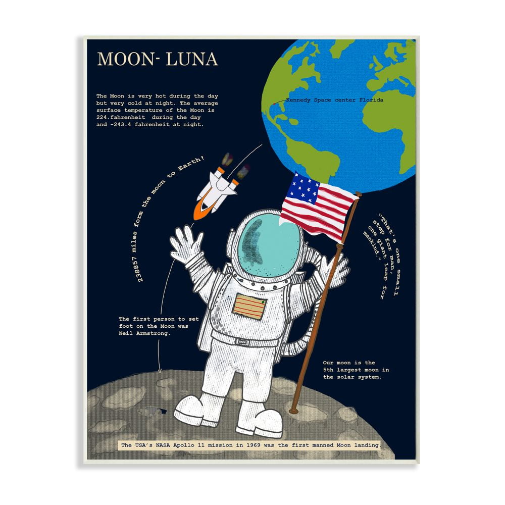 Stupell Industries Solar System Moon Facts Astronaut In Space Wall Plaque Design by Sangita Bachelet
