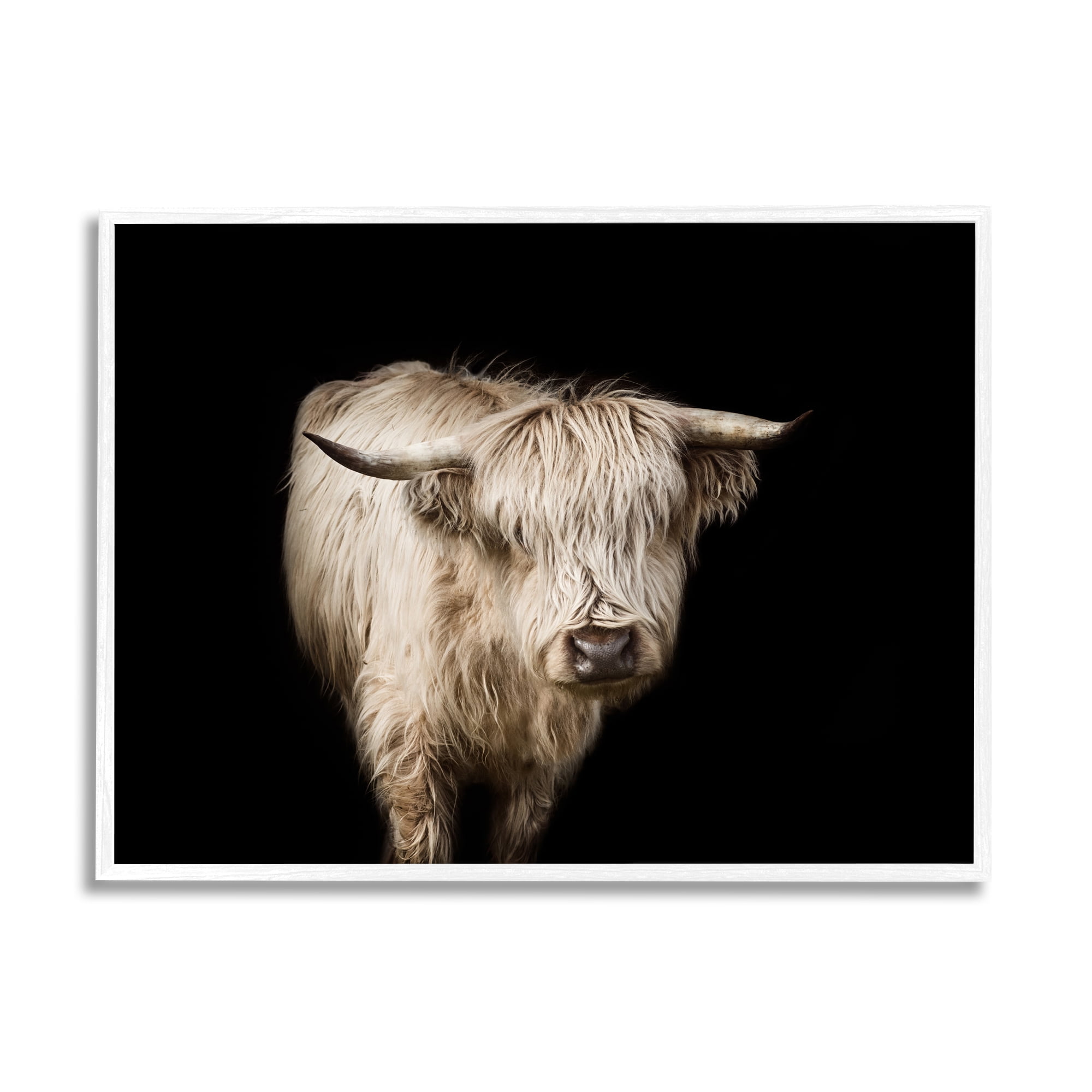 Stupell Industries Solemn Cattle Portrait Modern Farm Animal over Black, 24 x 30, Design by Marika Moffit