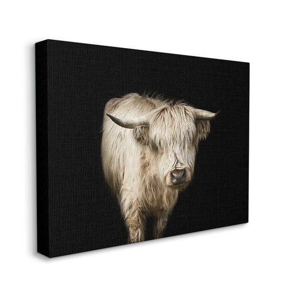 Stupell Industries Solemn Cattle Portrait Modern Farm Animal over Black Animals & Insects Photography Gallery Wrapped Canvas Print Wall Art, 30 x 40