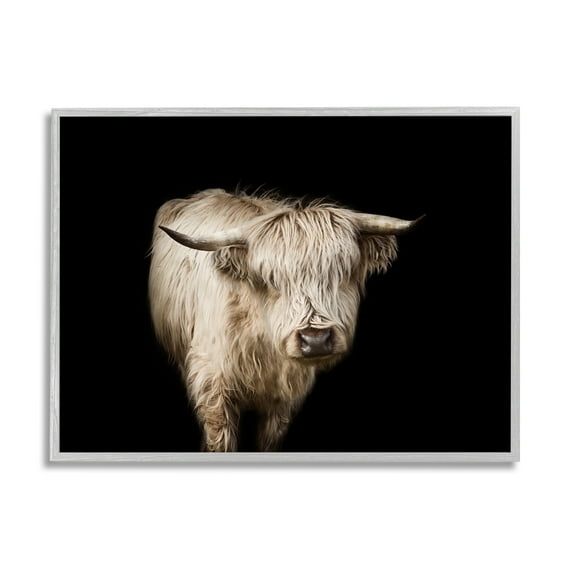 Stupell Industries Solemn Cattle Portrait Modern Farm Animal over Black Animals & Insects Photography Gray Framed Art Print Wall Art, 11 x 14