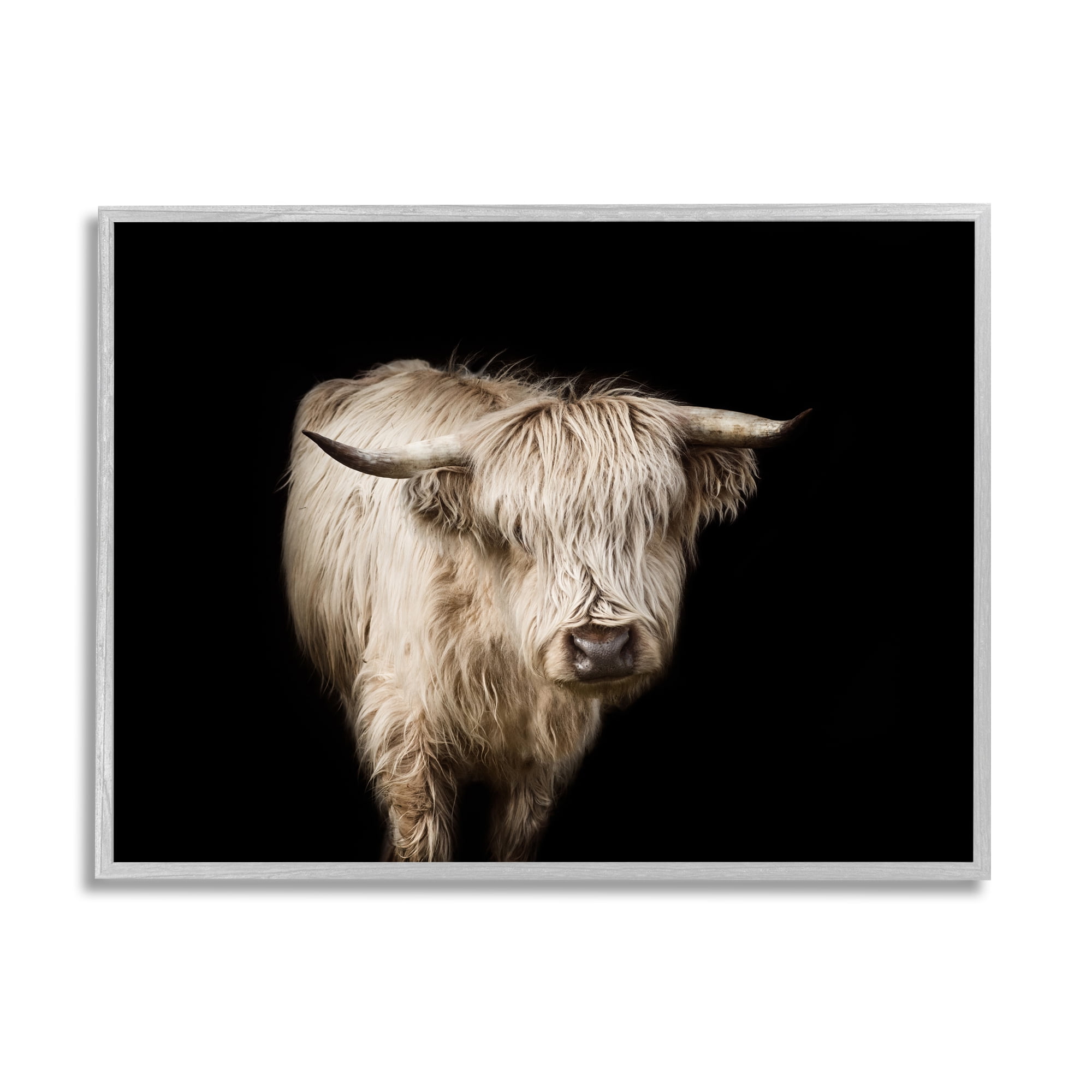 Stupell Industries Solemn Cattle Portrait Modern Farm Animal over Black Animals & Insects Photography Gray Framed Art Print Wall Art, 16 x 20