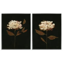 Stupell Industries Solitary Bloom Before Fall Plants & Flowers Painting Black Framed Art Print Wall Art, 11 x 14, Set of 2