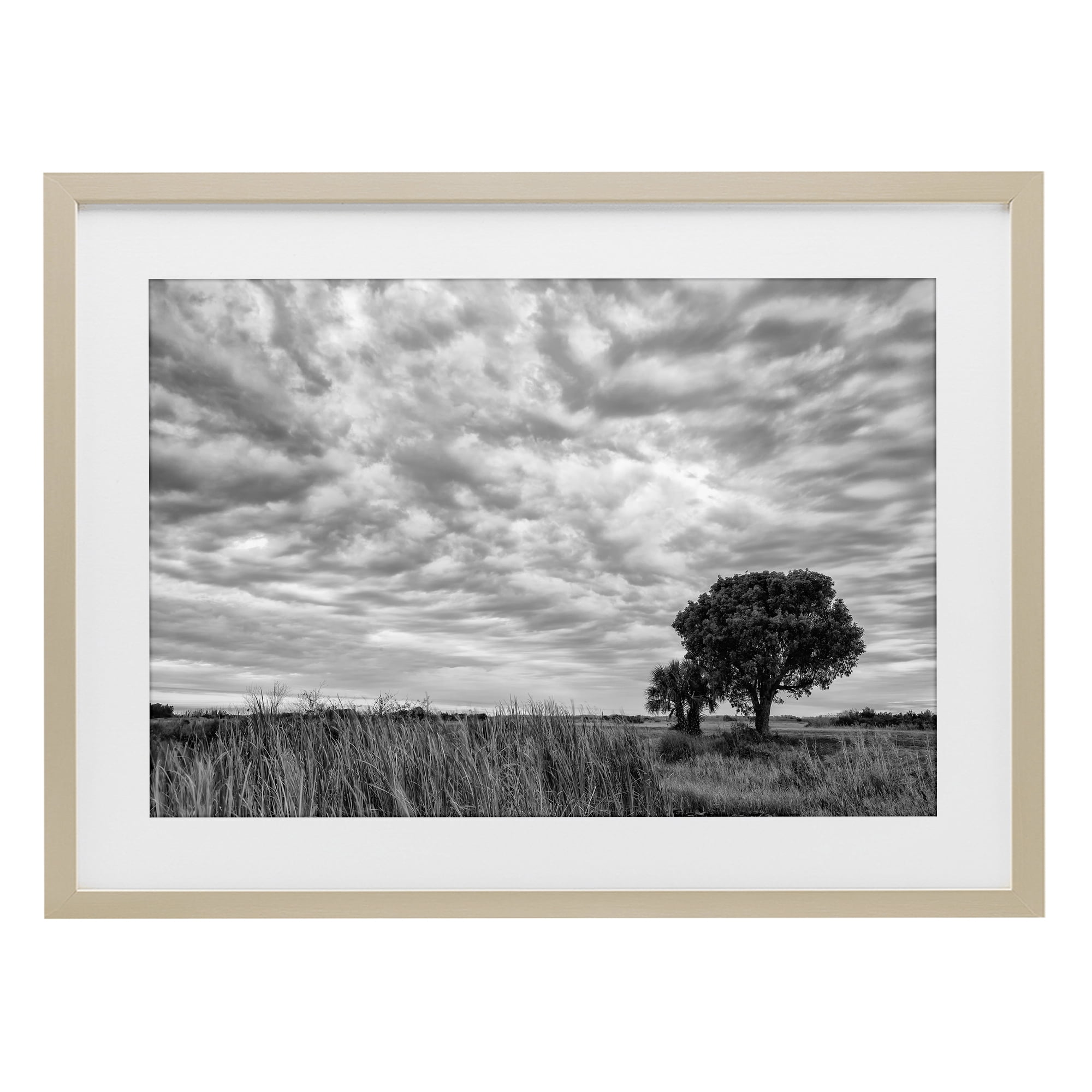 Stupell Industries Solitary Tree Beneath Clouds Birch Framed Print Under Glass, design by Jon Evan