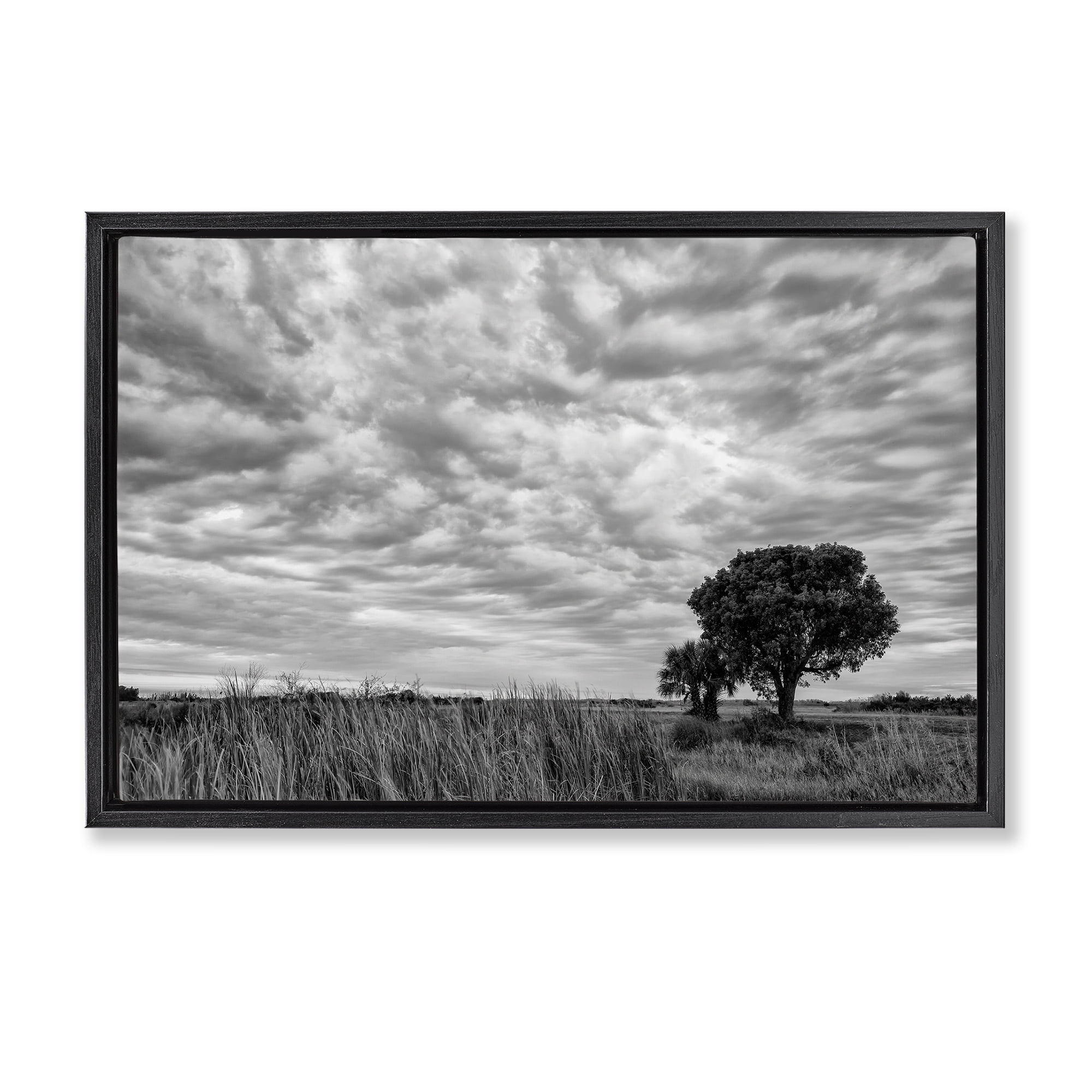 Stupell Industries Solitary Tree Beneath Clouds Black Framed Floater Canvas Wall Art, design by Jon Evan