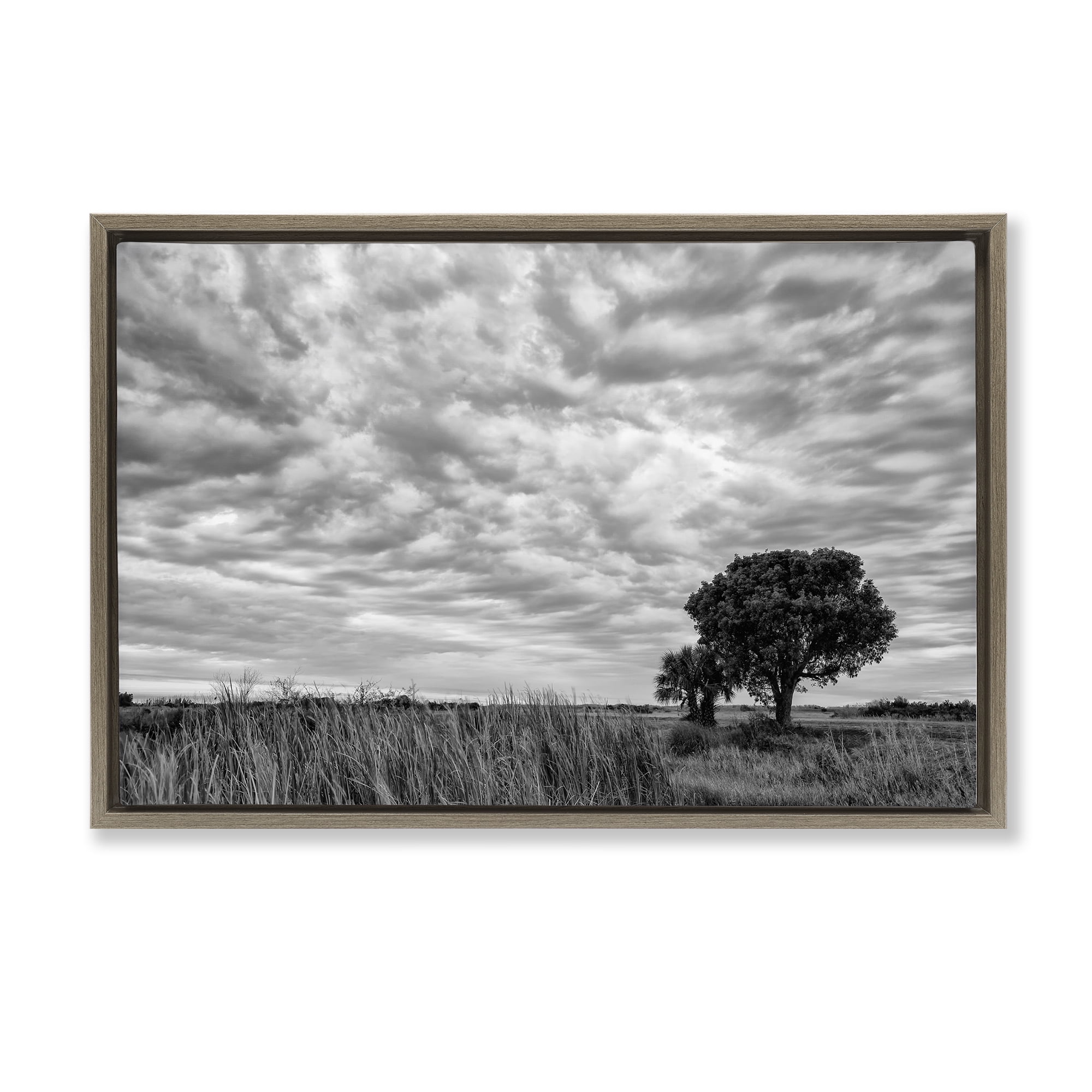 Stupell Industries Solitary Tree Beneath Clouds Brown Framed Floater Canvas Wall Art, design by Jon Evan