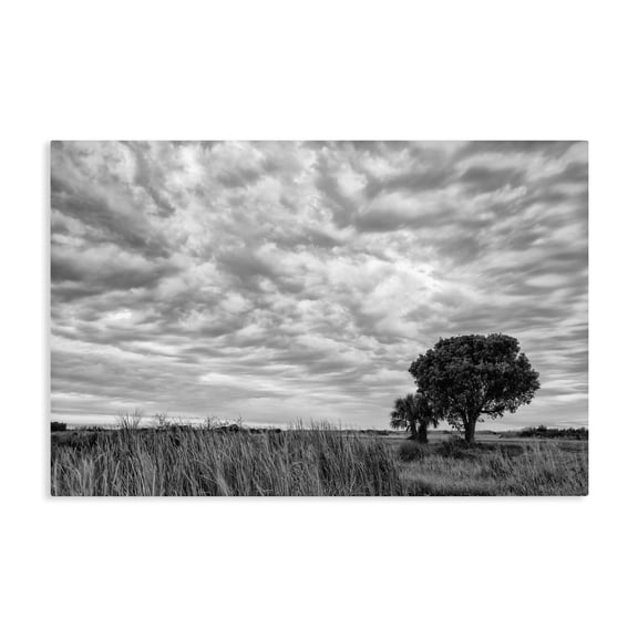 Stupell Industries Solitary Tree Beneath Clouds Canvas Wall Art, design by Jon Evan