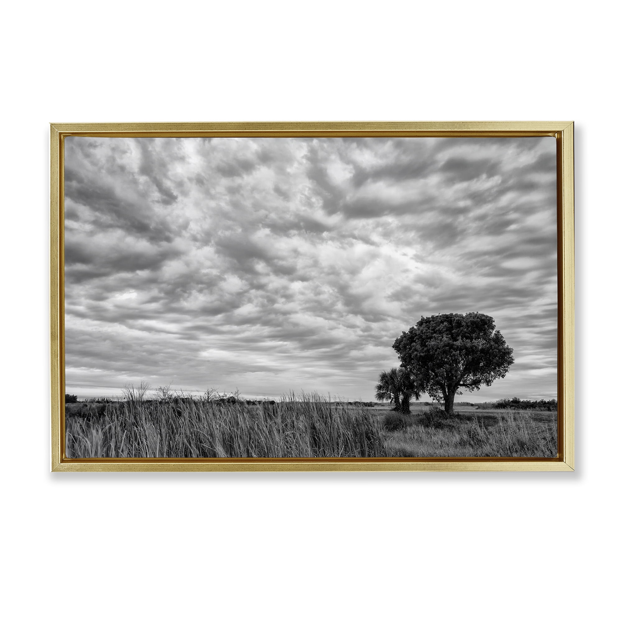 Stupell Industries Solitary Tree Beneath Clouds Gold Framed Floater Canvas Wall Art, design by Jon Evan