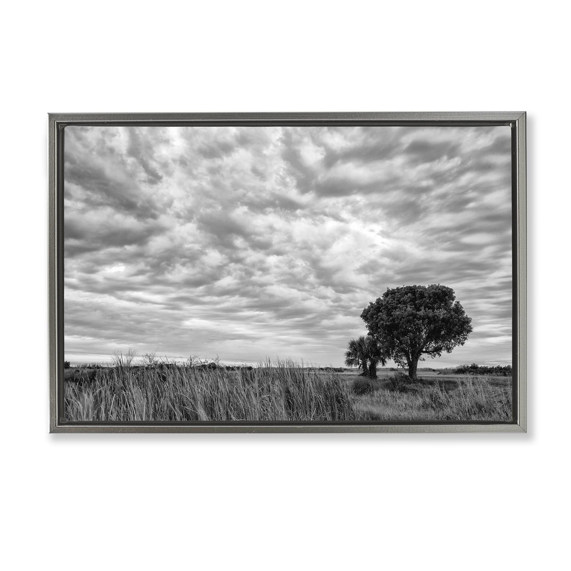 Stupell Industries Solitary Tree Beneath Clouds Gray Framed Floater Canvas Wall Art, design by Jon Evan