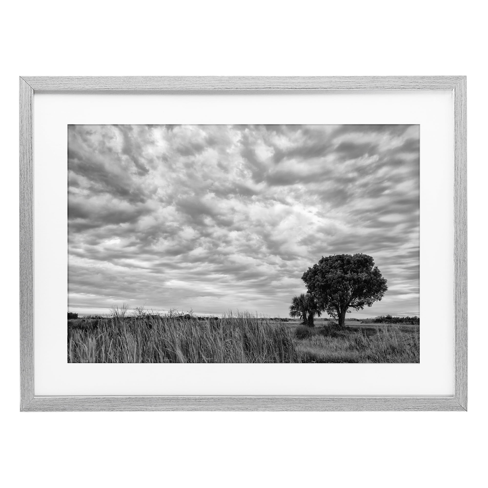 Stupell Industries Solitary Tree Beneath Clouds Gray Framed Print Under Glass, design by Jon Evan