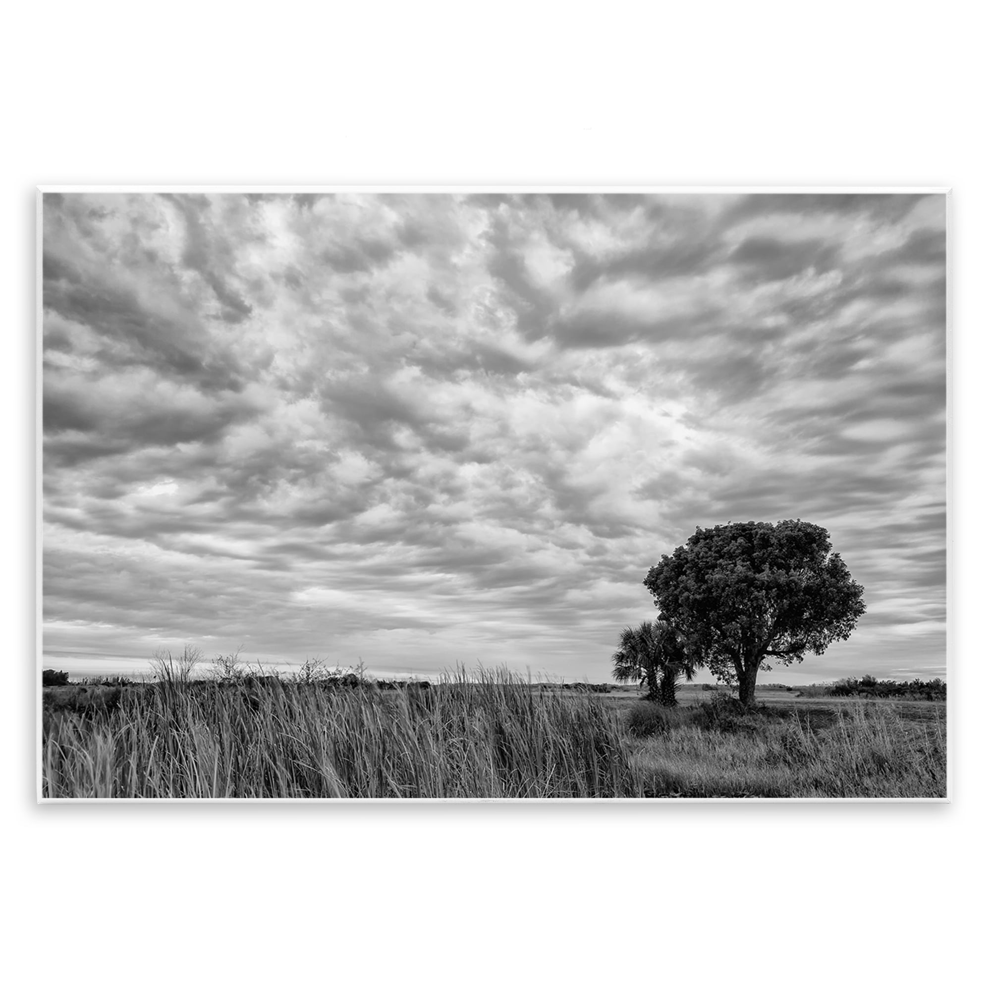 Stupell Industries Solitary Tree Beneath Clouds Wall Plaque Art, design by Jon Evan