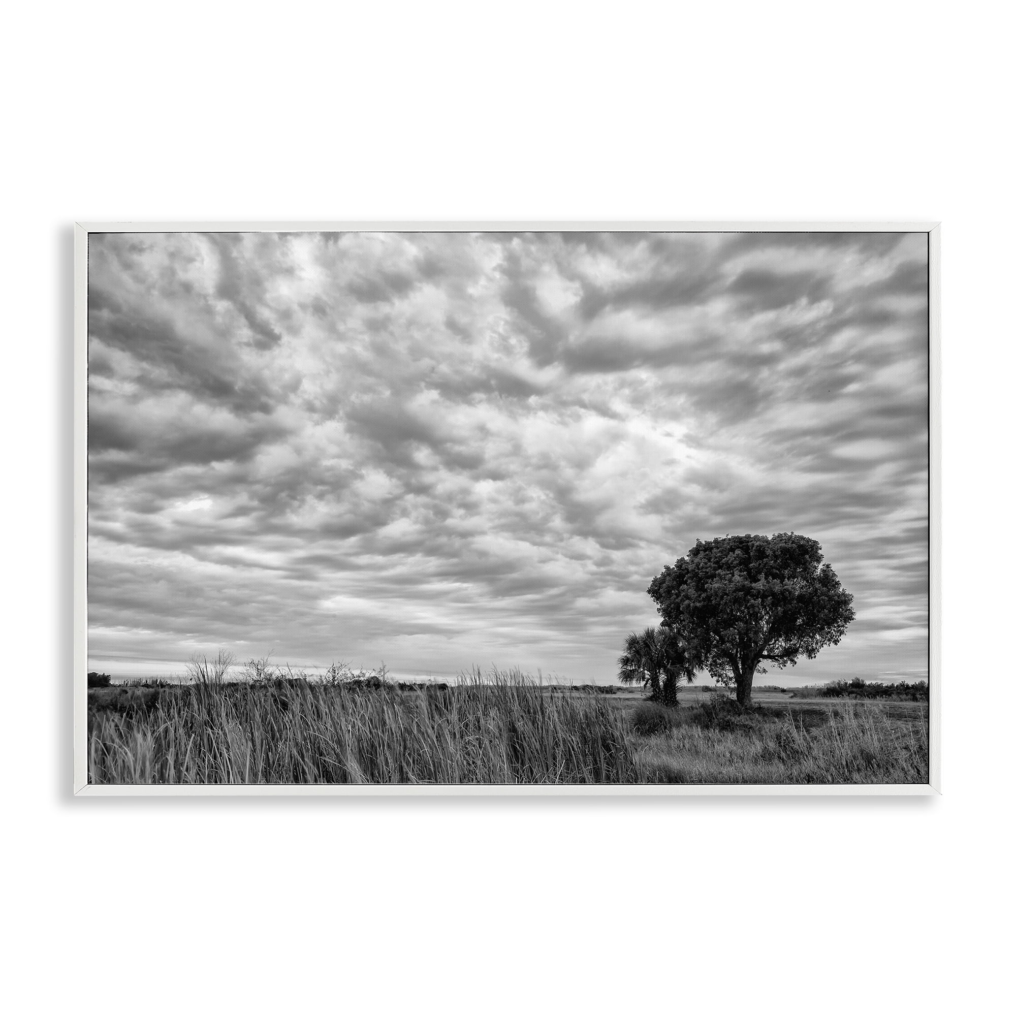 Stupell Industries Solitary Tree Beneath Clouds White Framed Giclee Art, design by Jon Evan