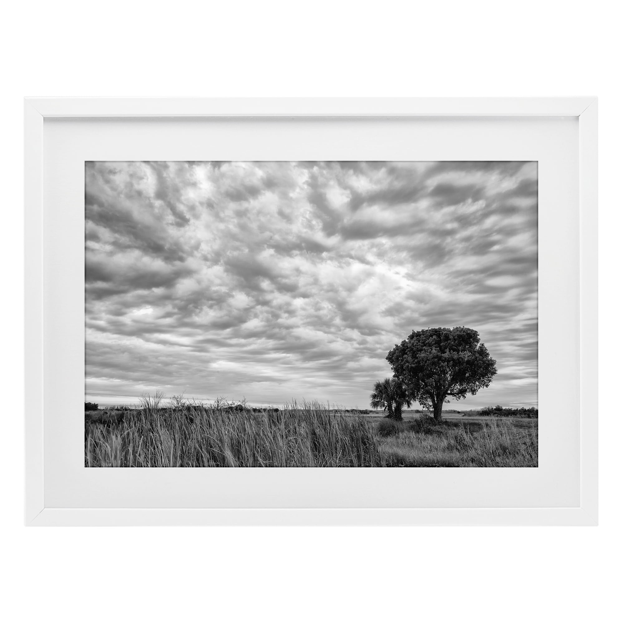 Stupell Industries Solitary Tree Beneath Clouds White Framed Print Under Glass, design by Jon Evan